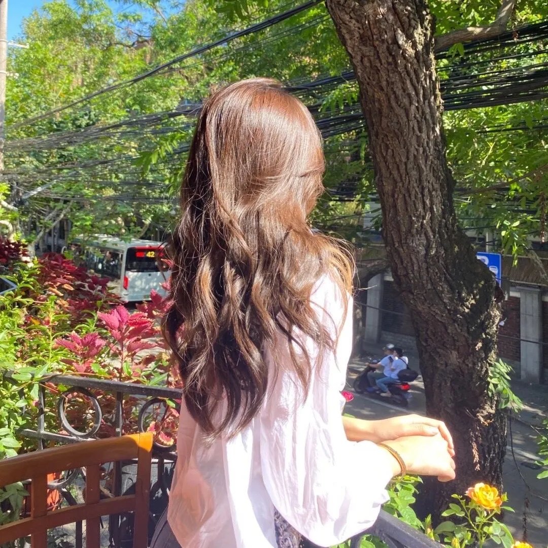 龙吟诏